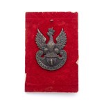 Eagle wz. 17 made by Grynszpan company in Warsaw, regimental numeral 1 on amazon shield. 1916r.