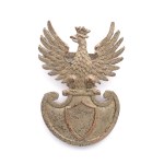 Eagle Polish Army in the East.