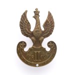 Eagle II Polish Corps - Karol Macianski, Kyiv.