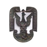 Eagle pattern 36 for air force privates.