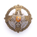 Commemorative badge "STYR-HORYŃ-SŁUCZ-1919"