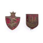 SET OF 2 BADGES NKN CHIEF NATIONAL COMMITTEE