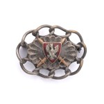 Patriotic brooch with eagle and chain (chains)