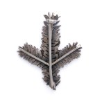 Brooch with a three-field coat of arms from the January Uprising period