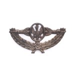 Patriotic eagle brooch