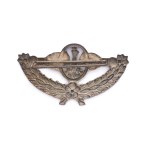 Patriotic eagle brooch