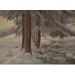 Franciszek Wójcik (1903 Wojciechowo - 1984 Zakopane), Potok in Zakopane, 1955