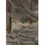 Franciszek Wójcik (1903 Wojciechowo - 1984 Zakopane), Potok in Zakopane, 1955