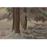 Franciszek Wójcik (1903 Wojciechowo - 1984 Zakopané), Potok v Zakopanom, 1955