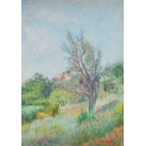 Jakub Markiel (1911 Łódź - 2008 Łódź), Landscape with pink roofs