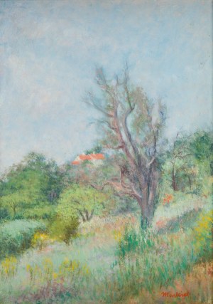 Jakub Markiel (1911 Łódź - 2008 Łódź), Pejzaż z różowymi dachami