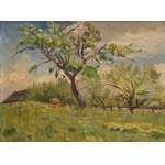 Włodzimierz Nałęcz (1865 Kijów - 1946 Jeruzal k. Skierniewic), 