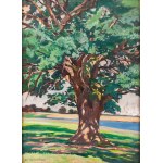 Stanislaw Czajkowski (1878 Warsaw - 1954 Sandomierz), "Old Oak."