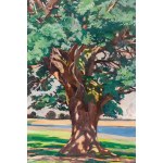 Stanislaw Czajkowski (1878 Warsaw - 1954 Sandomierz), "Old Oak."