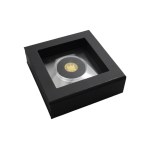 Jesus Christ - gold coin 0.999 au, St. Peter's Basilica