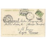 [WARSAW]. Warsaw. Tow. Zach. Fine Arts. 1905.