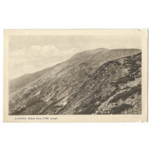 [BABIA GÓRA]. Zawoja - Babia Góra (1728) peak.