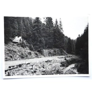 [GORGANY]. Gorgany. Rafaylova (Gorgans). Legion road. Photo by Adam Lenkiewicz.
