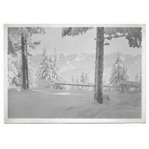 [TATRY]. Tatra Mountains. Zakopane. Landscape from Gubałówka (1120 m). Photo by A[ntoni ] M[ieczyslaw]....