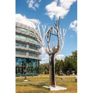 Marek Moderau, Tree full of hope, 2025