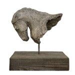 Ewa Jaworska, Against the Wind, 2024