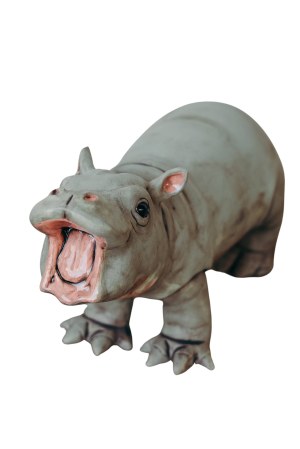 Katarzyna Stachura, Hipopotam Pigmejski, 2025