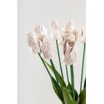 Beata Szustkiewicz, Bouquet of white ceramic tulips, 2026