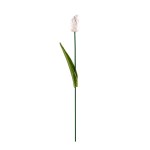 Beata Szustkiewicz, Bouquet of white ceramic tulips, 2026