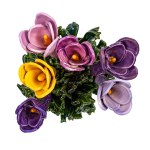 Beata Szustkiewicz, Small Crocuses I, 2026