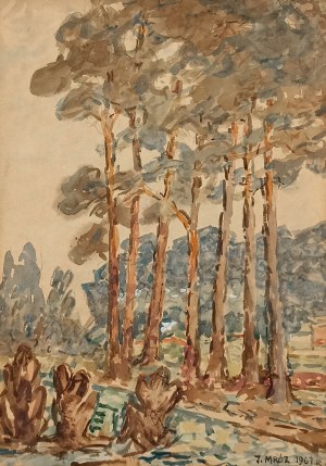 Józef Mróz, Sosny, 1961