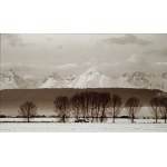 Ursula Ratajczyk, Slovakia, 2003