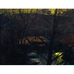 Tomasz Soliwoda, Evening Landscape