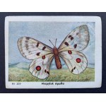 Set of 88 collector cards [birds, mammals, reptiles, fish]. Cracow [II RP].