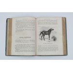 [Zamoyski] Brehm, Life and customs of animals, Warsaw 1873