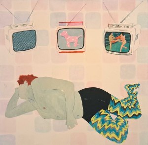 Agnieszka Sandomierz (1978), TV, 2006