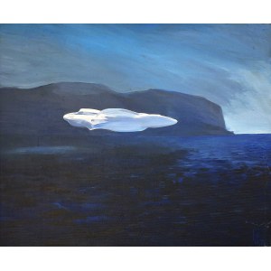 Joanna Karpowicz (1976), UFO, 2013