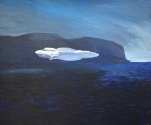 Joanna Karpowicz (1976), UFO, 2013