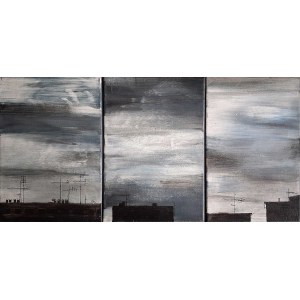 Paweł Słota (1989), Priestory - triptych, 2012