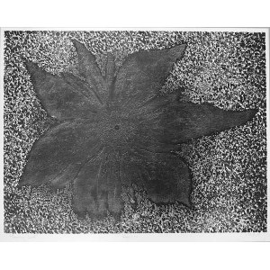 Henryk Opałka (1929 - 2018), Sunny flower, 1996