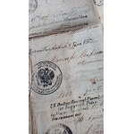Reise-Pass Passport JANUARY UPRISING Kraków 1860–1863