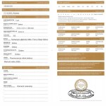 Nat.0.16 ct Si2 diamond gross valuation:$1046USD