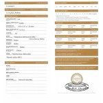 Natural diamond 0.15 CT Si2 GROSS PRICE: $984USD