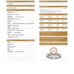 Natural diamond 0.20 ct Si2 gross valuation: 1402 $USD