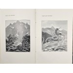 Journal of the Tatra Society. Year 1905. Volume 26. Kraków, 1905. Published and owned by the Tatra Society.