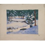 Witold Rzegociński (1883-1969), Zakopane