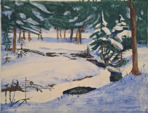 Witold Rzegociński (1883-1969), Zakopane