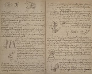 Walerian Kryciński (1852 - 1929), Zeszyt z Anatomii 1874r.