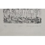 Wanda Ładniewska-Blankenheimowa (1905-1995), Organic Composition, 1982