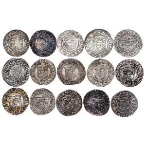 Ferdinand I. (1521-1564) Denar LOT