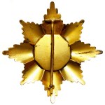 Russia - Order of Queen Tamar (Georgia) - Breast Star, 1st Class.